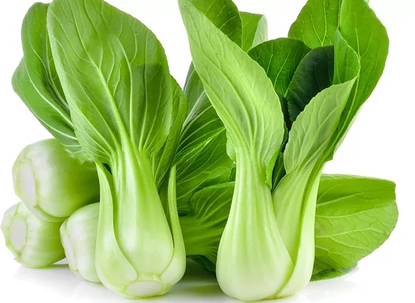 Chinese cabbage <i>Bok choi</i> or 